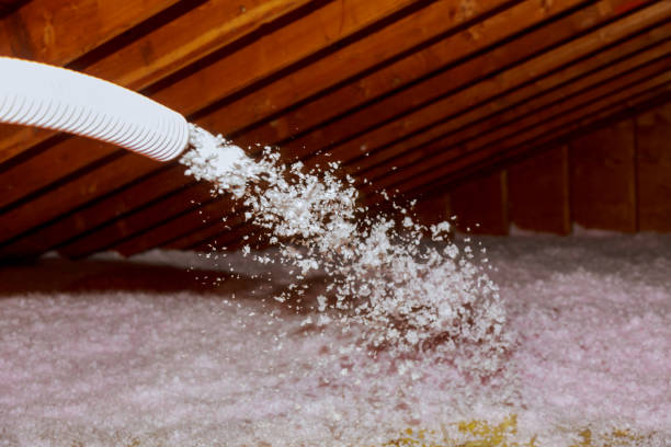 Best Specialized Insulation Services in USA